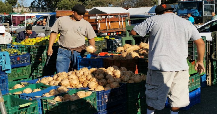 USO DE TECNOLOGÍAS DE INFORMACIÓN EN LOS MERCADOS AGRÍCOLAS FORTALECERÍA COMERCIO DE ALIMENTOS Y TRANSPARENCIA, AFIRMAN IICA Y OIMA