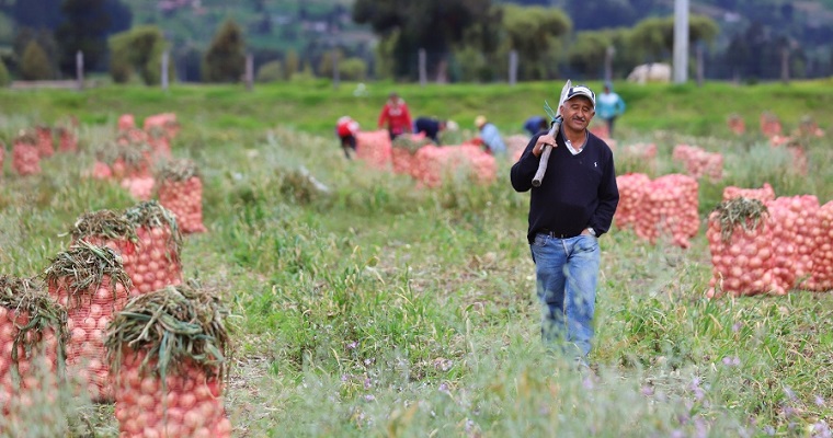 Precios de papas, huevos y quesos disminuyeron en febrero de 2024 y aumentaron otros productos como las hortalizas