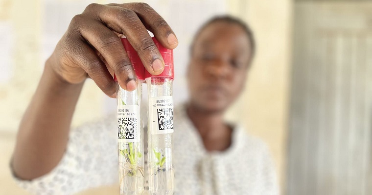 Con las herramientas, la tecnología y los servicios compartidos adecuados, el mejoramiento de cultivos será clave para resolver los desafíos globales