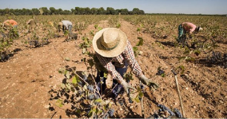 Ideas para una nueva agricultura de secano y contra el suicidio hídrico