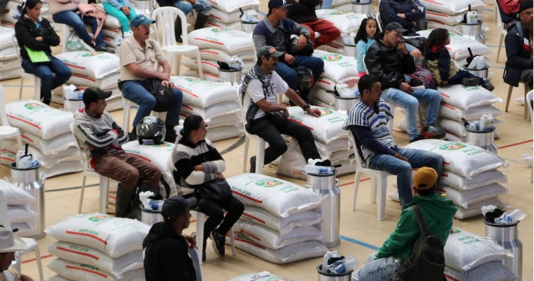 MinAgricultura entregará 2.779 kits de insumos para productores lecheros