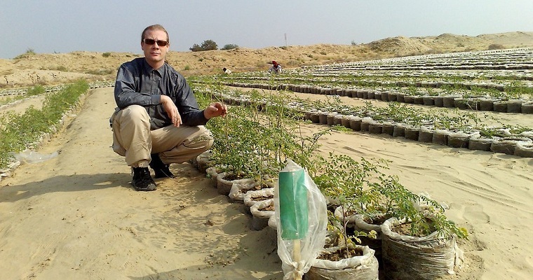 La innovación que convierte la arena del desierto en tierra de cultivo
