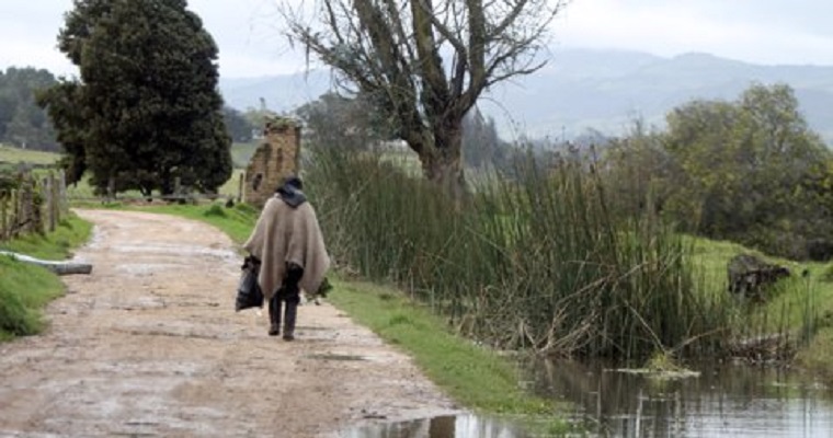 En época de lluvias, así puede evitar desastres en materia invernal desde su propia casa