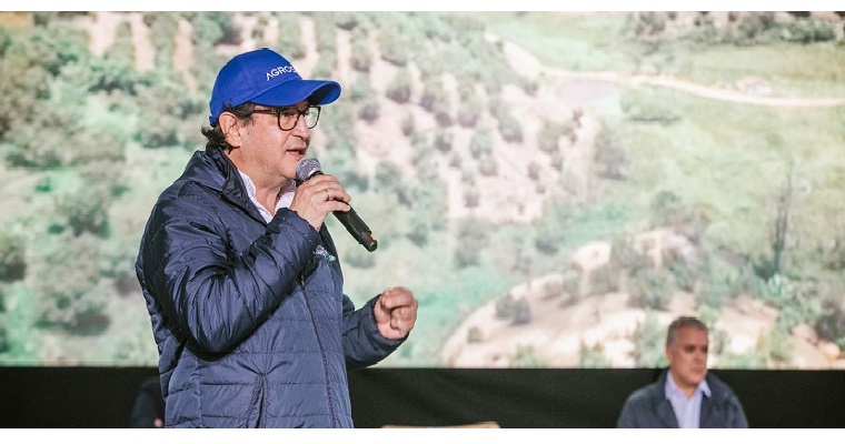 Colombia es el mayor productor y exportador de uchuva a nivel mundial