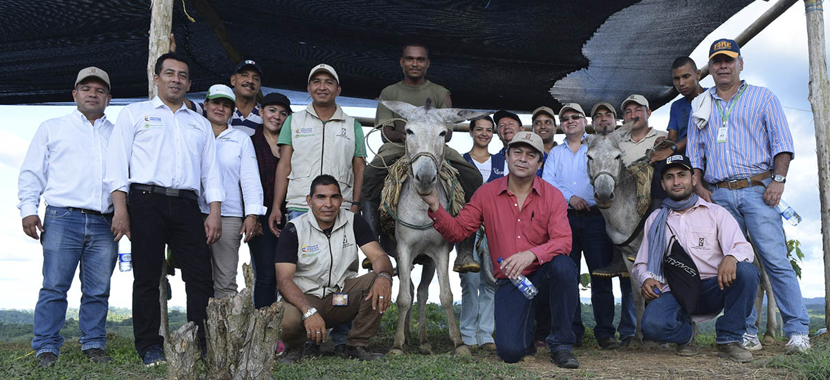 Más de 110 familias del Urabá antioqueño emprenden y se reconcilian gracias al cultivo del cacao - 17 de agosto de 2016