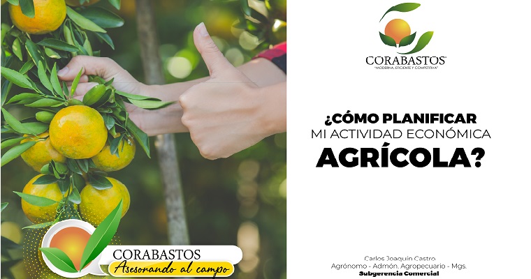 Tips para planificar tus cultivos