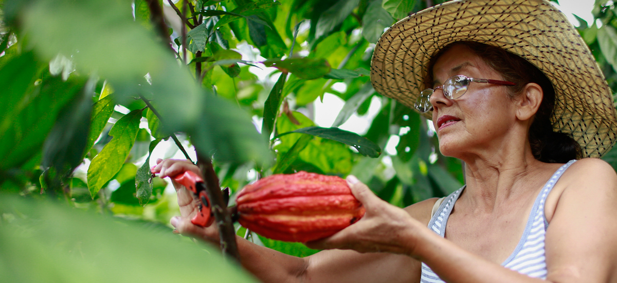 Políticas públicas del sector agro han beneficiado a más de 506 mil mujeres rurales - 08 de marzo de 2017