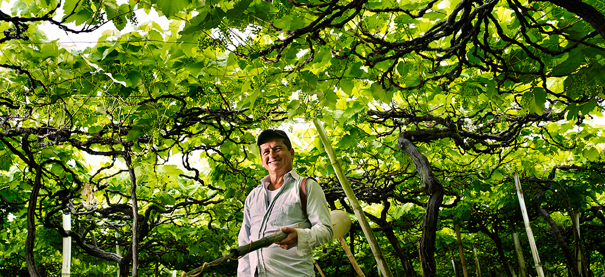 Buenas prácticas en manejo de insumos permiten disminuir costos de producción, mejorar calidad y proteger el medio ambiente - 23 de mayo de2017