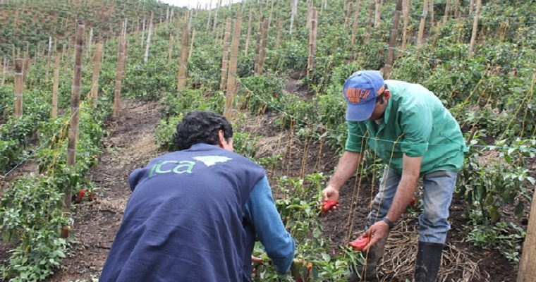 Con el registro de predio exportador, lo espera un mundo de mercados