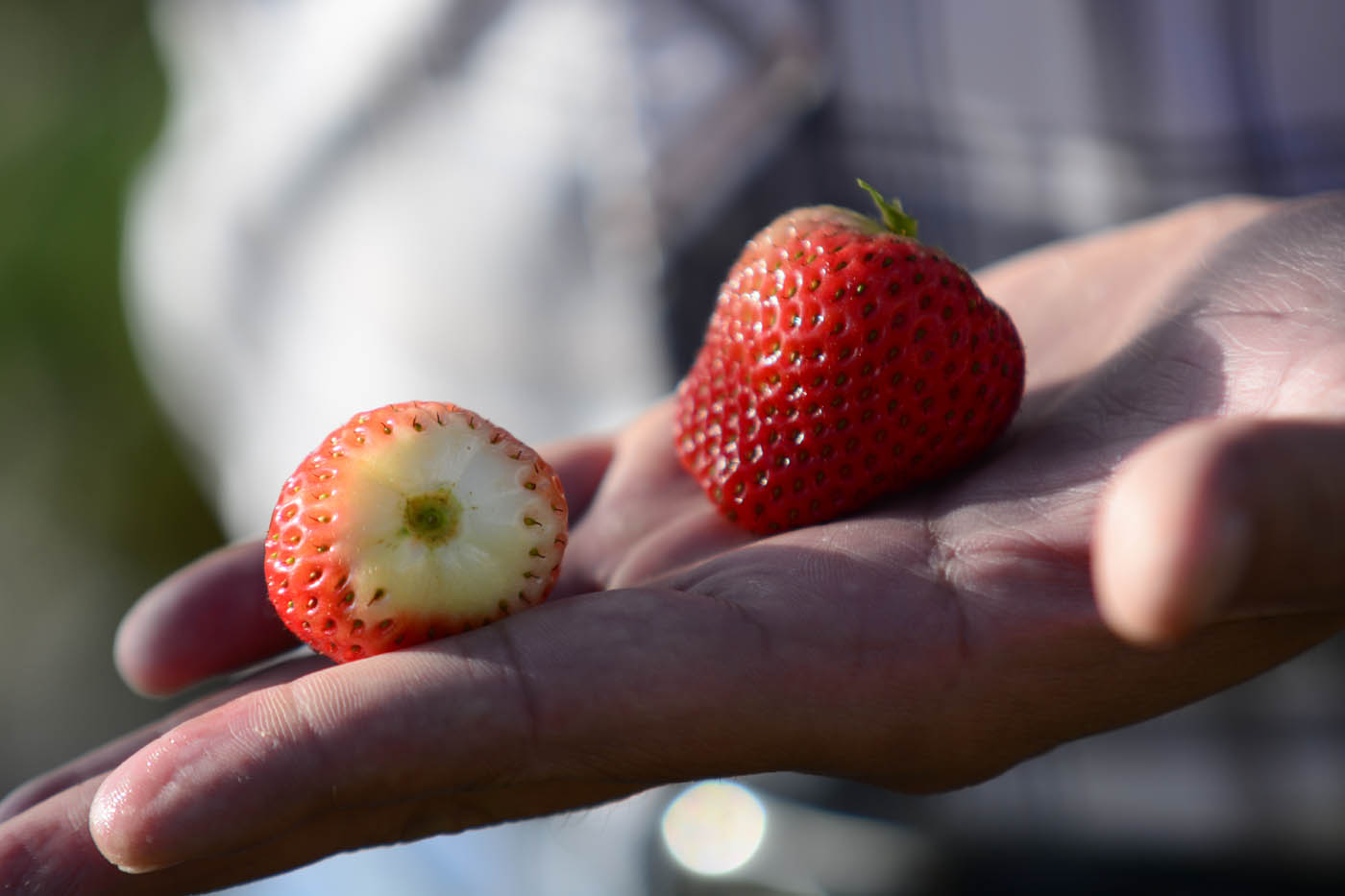 Novedoso índice impulsa uso sostenible de las fincas