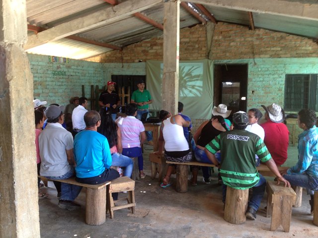 ICA implementa estrategia para mitigar daño causado por el Picudo Negro a cultivos de chontaduro - 02 de marzo de 2017