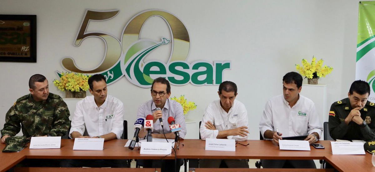 MinAgricultura pone en marcha plan de acción por caso de aftosa en el Cesar