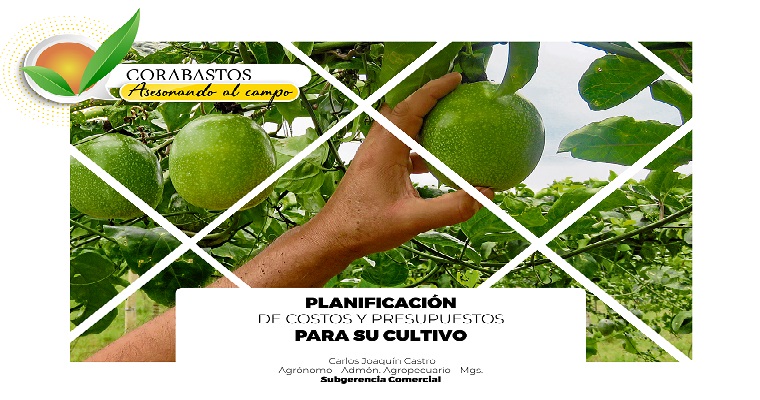 Planificación de costos y presupuestos para tu cultivo