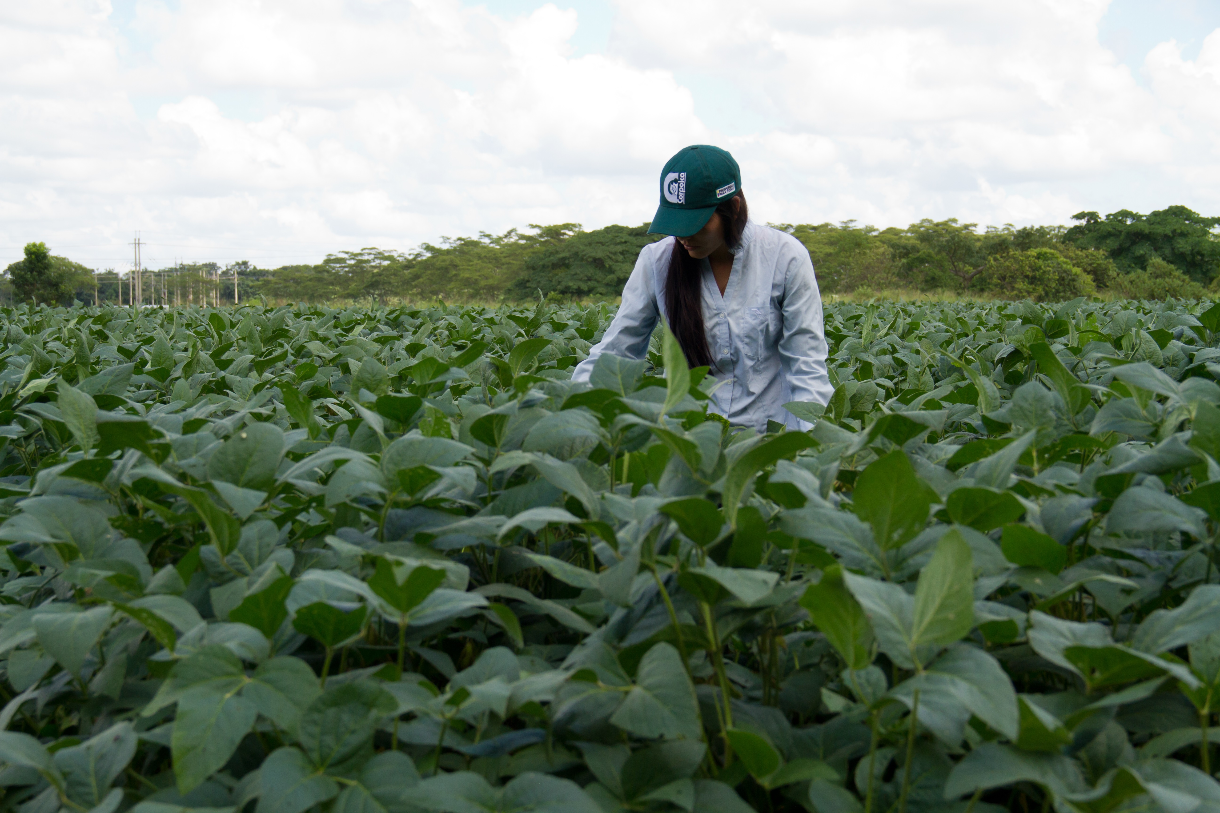 Minagricultura apoya a Corpoica para recargar su talento humano y aportar al cambio técnico del sector agropecuario - 11 de Febrero de 2016