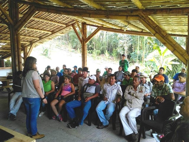 Productores de aguacate Hass de Caldas se entrenan con el ICA sobre plagas de control oficial - 30 de agosto de 2017