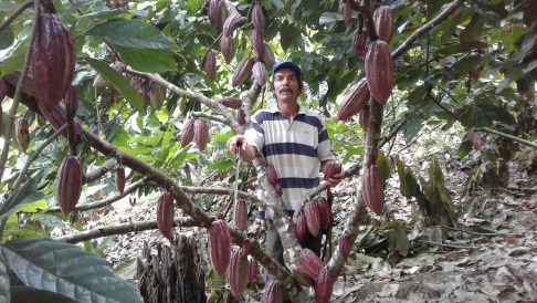 Fedecacao – FNC apoya a cacaocultores del municipio de Bolívar, Santander - 31 de Mayo de 2017