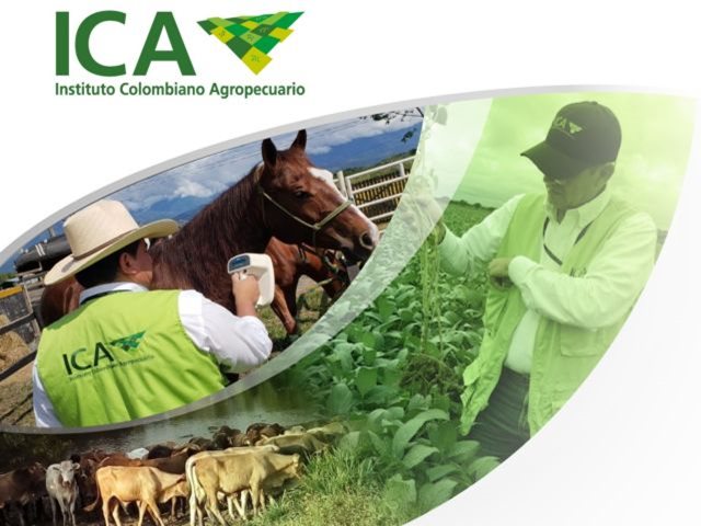 El ICA, en el Meta, rendirá cuentas de su gestión durante el 2018