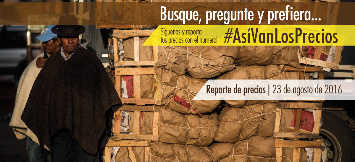 La buena oferta permite precios favorables para el consumidor esta semana - 23 de agosto de 2016