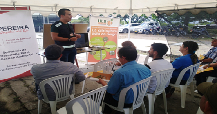 El ICA y productores de Risaralda trabajan para evitar la llegada del HLB de los cítricos al departamento