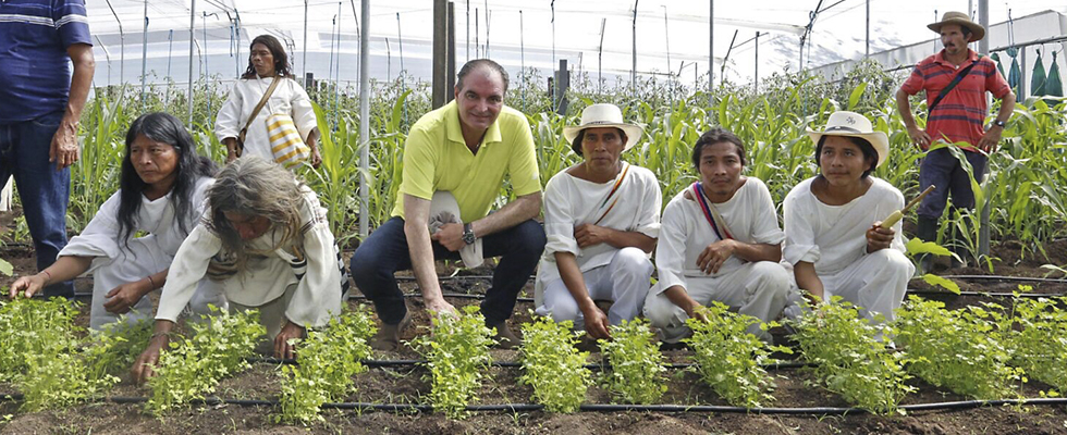 MinAgricultura entrega invernaderos a comunidades indígenas de la Sierra Nevada de Santa Marta - 31 de Diciembre de 2015