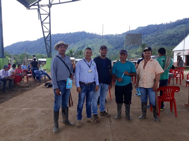 El ICA en el Caquetá trabaja por mantener al departamento libre de la enfermedad moko del plátano