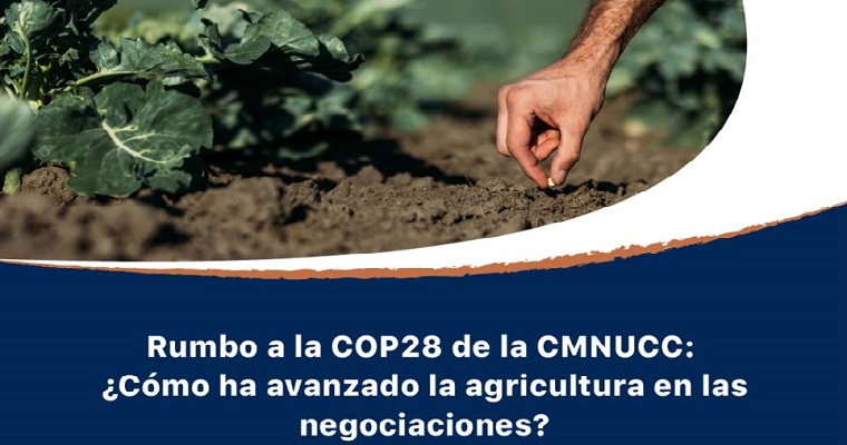 En ruta a la COP28, países de las américas aumentan implementación de medidas de mitigación y adaptación de la agricultura al cambio climático, consideran especialistas convocados por el IICA