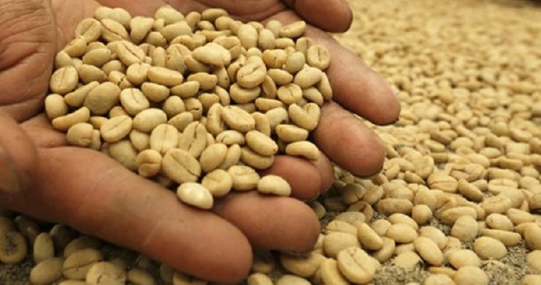 Se acerca premiación y subasta de mejores cafés de 7° concurso Colombia, tierra de diversidad