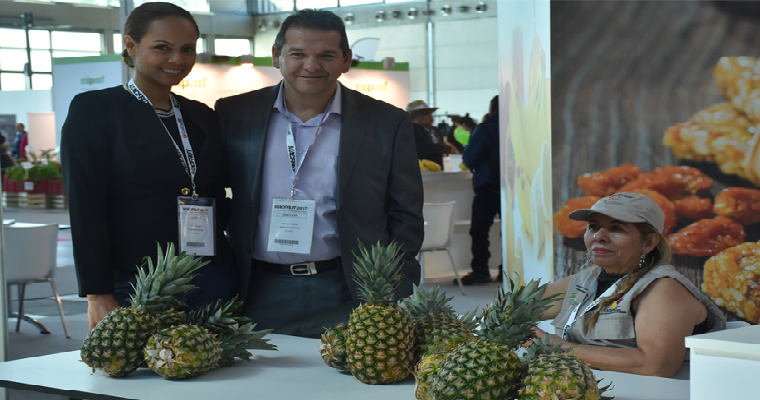 Empresas Hortofrutícolas colombianas se preparan para la feria MACFRUT 2021