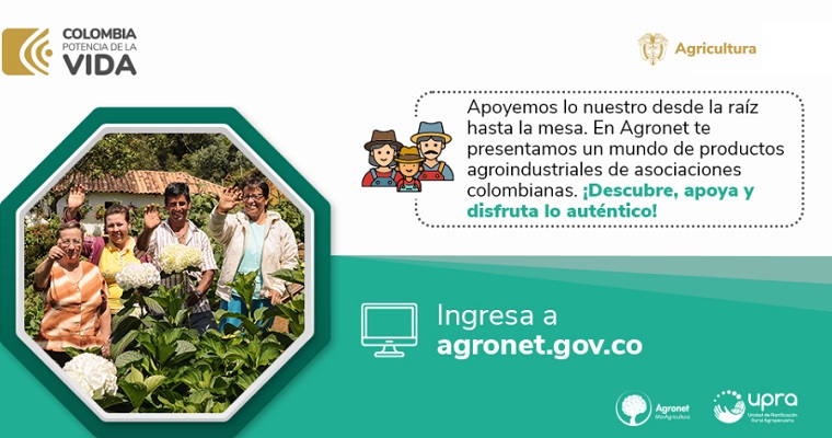 Descubre cómo destacar en el «Directorio de productos transformados» de Agronet y potencializar tu negocio
