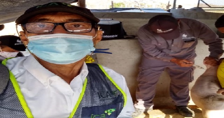 En Atlántico, supervisión a la vacunación contra la peste porcina clásica