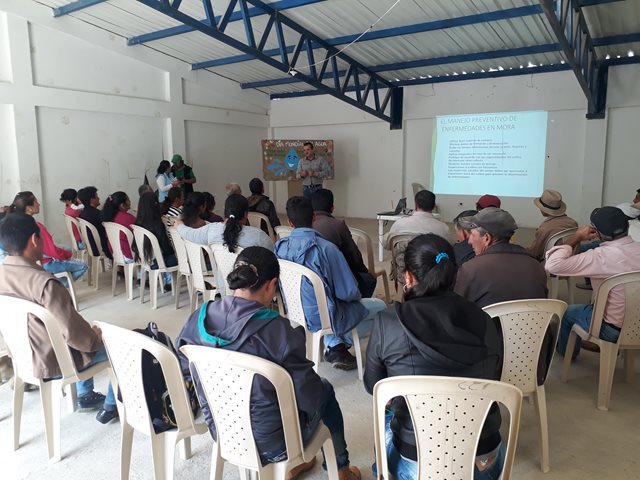 El ICA realizó taller en manejo fitosanitario del cultivo de mora en Norte de Santander