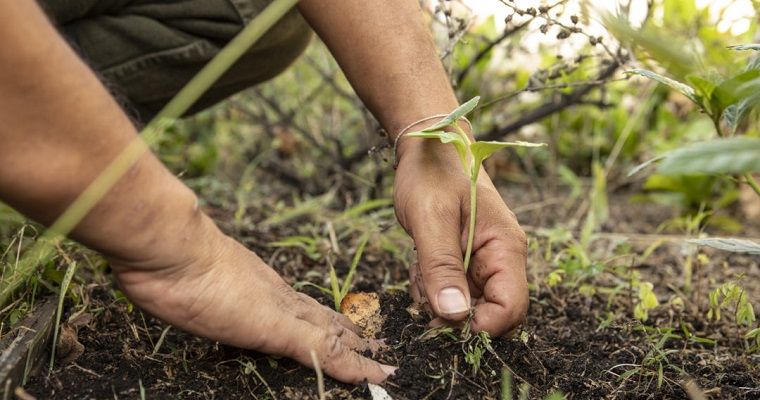 Colombia y la COVID-19: ¿crisis u oportunidad?