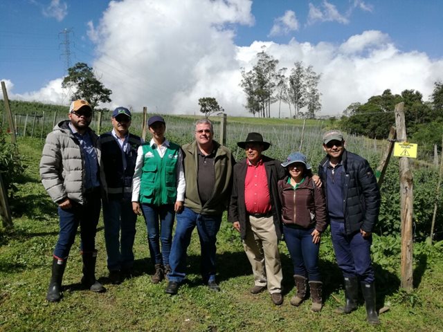 El-Director-regional-de-APHIS-para-América-Latina-y-el-Caribe-visitó-cultivos-de-uchuva-en-Cundinamarca - 13 de diciembre de 2017