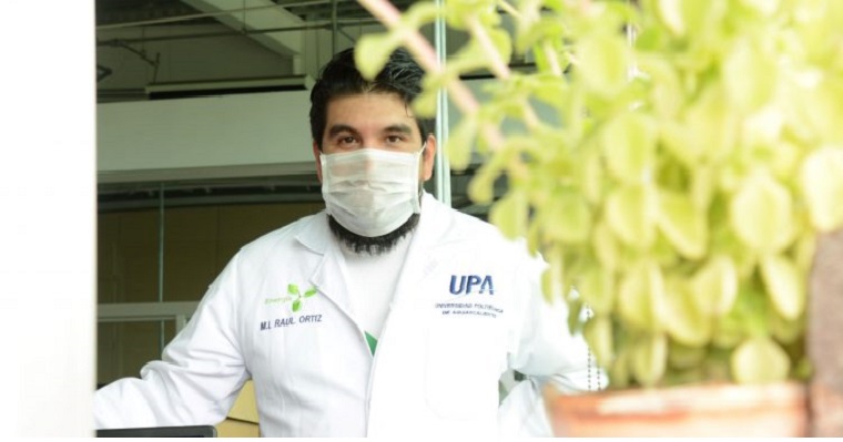 Generan energía a través de plantas