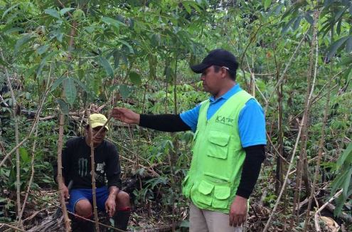En el Vaupés, el ICA realizó visitas fitosanitarias a los cultivos de yuca de la comunidad de Puerto Pupuña y Yacayaca