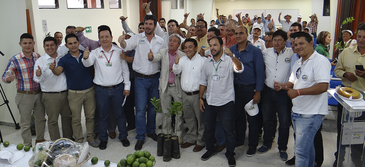 Seiscientas familias de las provincias comuneras de Santander siembran paz y prosperidad con cultivo de Lima Tahití - 28 de septiembre de 2016
