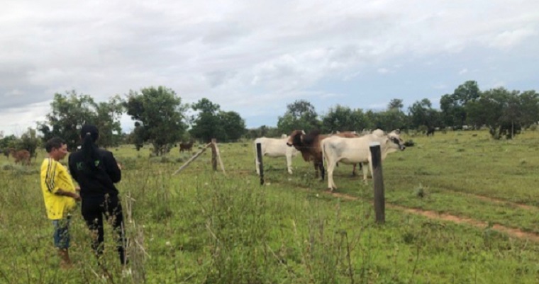 En Vichada, el ICA y los productores trabajan por la sanidad agropecuaria del departamento