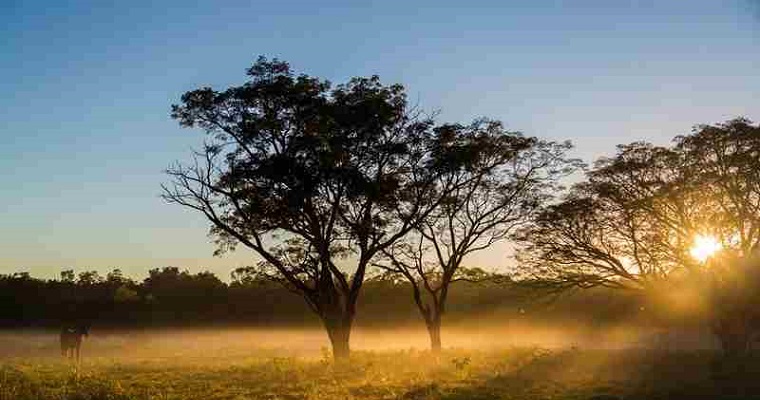 Frenar la deforestación y producir más, una misión posible
