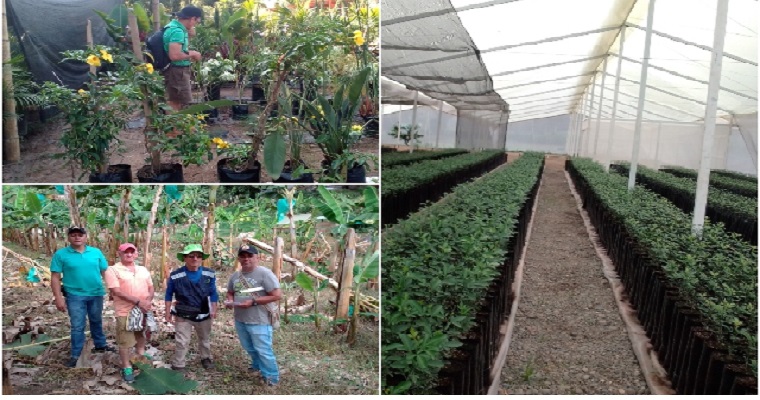 Viveristas de Risaralda se apoyan en el ICA para ofrecer calidad y competitividad en sus viveros