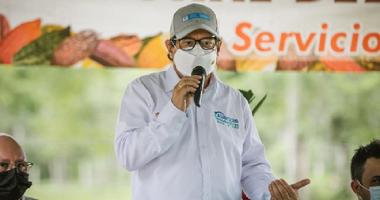 En 2021 se invertirán $20.500 millones en el plan nacional de renovación de cacao