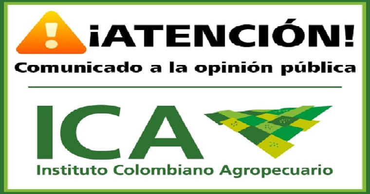 El ICA anuncia medidas excepcionales para facilitar la movilización de animales en zonas de riesgo por el volcán Nevado del Ruíz