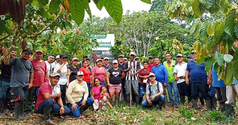 El ICA hizo un llamado a los productores de cacao del Putumayo, para que cuiden sus cultivos de plagas y enfermedades