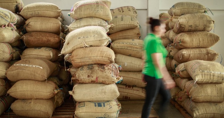 Las exportaciones del sector agropecuario crecieron 24,7 % respecto a 2023 en septiembre