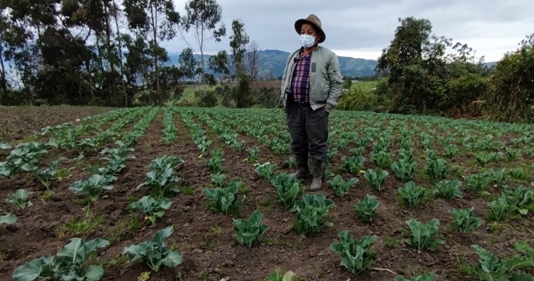 Visita de intercambio Ecuador – Colombia para fortalecer la agricultura campesina, familiar y comunitaria