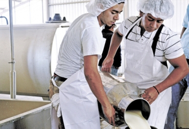 Subió acopio formal de leche en el tercer trimestre de 2018