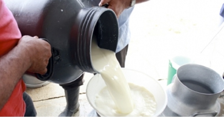 Acopio de leche creció 7,6 % en el primer semestre de 2020