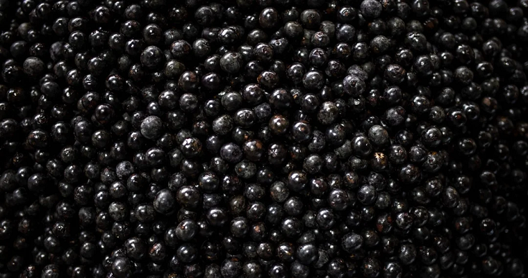 Propiedades antioxidantes del agraz lo convierten en refuerzo inmunológico natural