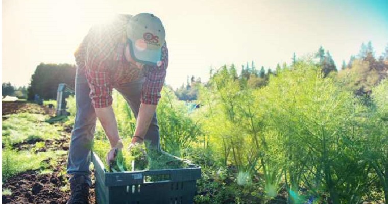 500 mil millones en créditos para el desarrollo rural de Antioquia