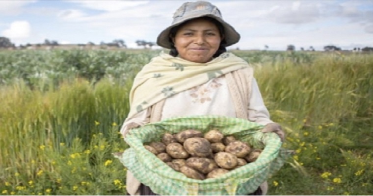 Agricultores se reinventan para evitar pérdidas de productos