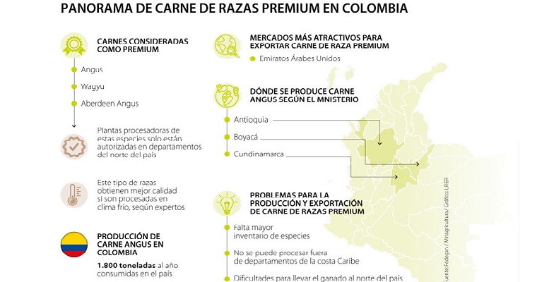 Colombia busca incrementar producción de la carne de razas consideradas premium